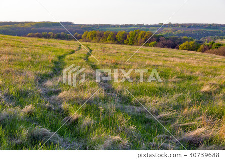 Landscape with traces of wheels in the grass 30739688