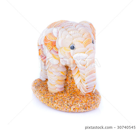 Sea shells made Elephant isolated on the white 30740545