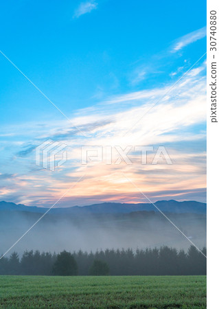 Biei的“北海道”黎明 Biei的“北海道”黎明 30740880