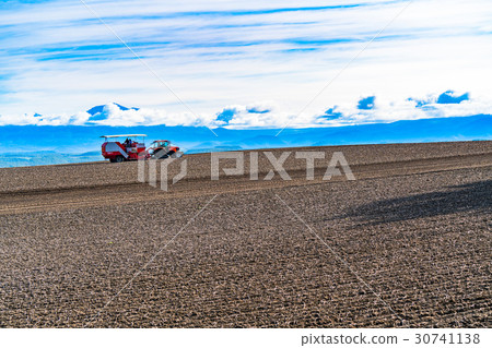 "Hokkaido" Agriculture of Biei "Hokkaido" Agriculture of Biei 30741138