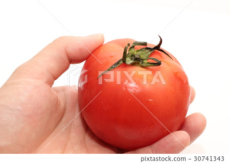 蕃茄 30741343
