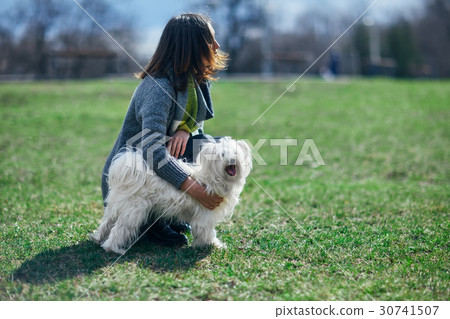 Little dog with owner on green meadow 30741507