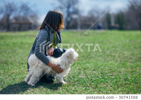 Little dog with owner on green meadow 30741508