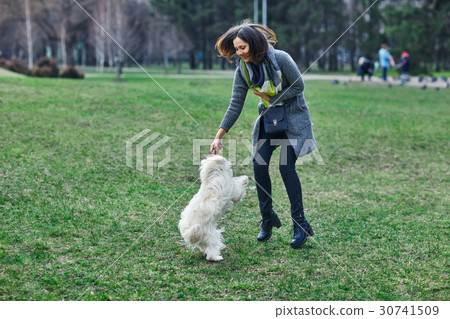 Young beautiful girl playing with her dog on grass 30741509