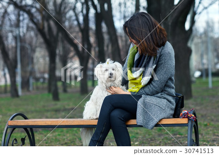 Cute little dog playing with owner Cute little dog playing with owner 30741513
