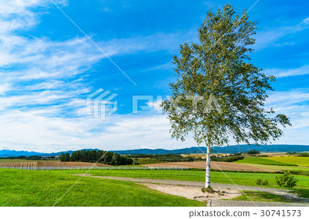 “北海道”Biei·Shinrito Hill觀察公園 30741573