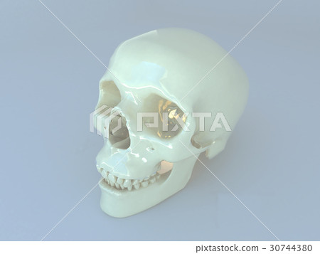 3D render of realistic human scull on grey surface 30744380