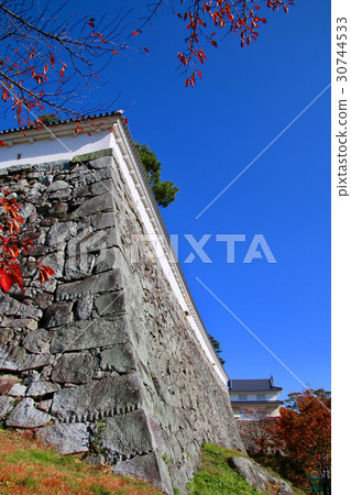 Kasumigauru in Autumn (Ninomatsu City) 30744533