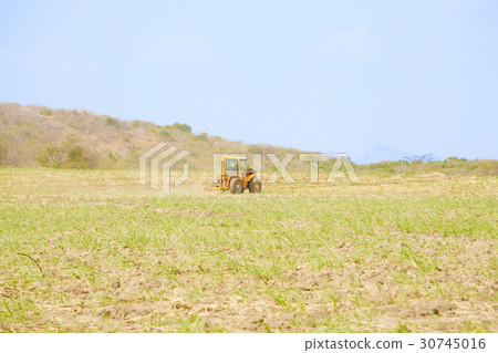 Tractor plows a field preparing for the rice grow 30745016
