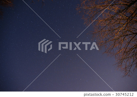 beautiful night sky, the Milky Way and the trees beautiful night sky, the Milky Way and the trees 30745212