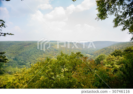 Mountain landscape, wonderful forest on Mount Mountain landscape, wonderful forest on Mount 30746116
