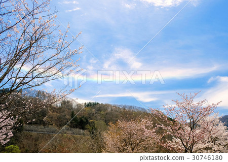 在湖和長的雲彩的櫻花 在湖和長的雲彩的櫻花 30746180
