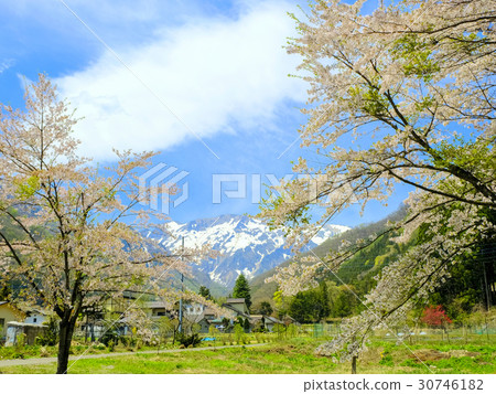 Tanigawa-dake和晚春 Tanigawa-dake和晚春 30746182