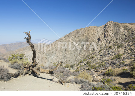 Joshua Tree National Park 30746354