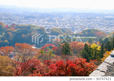 View from the Tensoukai (Ninomatsu City) View from the Tensoukai (Ninomatsu City) 30747421