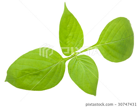 Available in high-resolution and several sizes Available in high-resolution and several sizes 30747431
