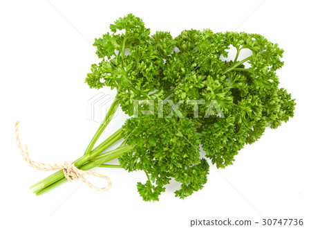fresh green parsley isolate 30747736
