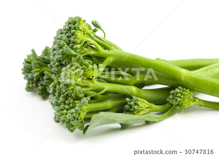 broccolini baby broccoli isolated broccolini baby broccoli isolated 30747816