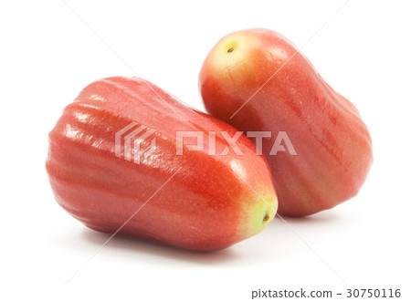 rose apple isolated rose apple isolated 30750116