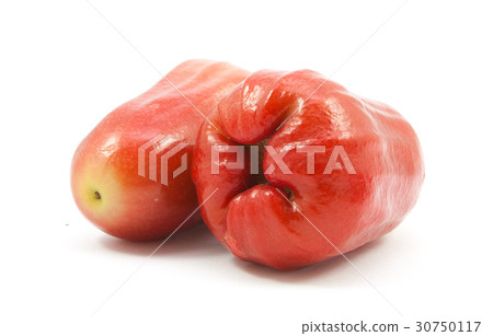 rose apple isolated rose apple isolated 30750117