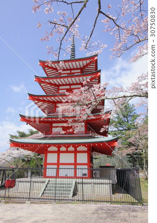 Five-storied pagoda built in Shin-kurayama Asama Park of Fujiyoshida-shi, where cherry blossoms bloom, Chaotic tower 30750830