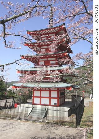 Five-storied pagoda built in Shin-kurayama Asama Park of Fujiyoshida-shi, where cherry blossoms bloom, Chaotic tower Five-storied pagoda built in Shin-kurayama Asama Park of Fujiyoshida-shi, where cherry blossoms bloom, Chaotic tower 30750831