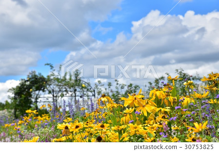 濱松花卉公園 濱松花卉公園 30753825