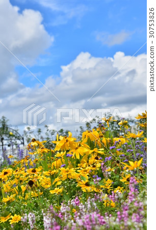 濱松花卉公園 濱松花卉公園 30753826