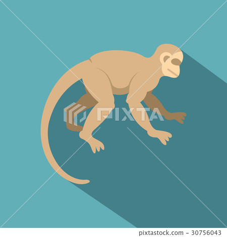 White capuchin icon, flat style - Stock Illustration [30756043] - PIXTA
