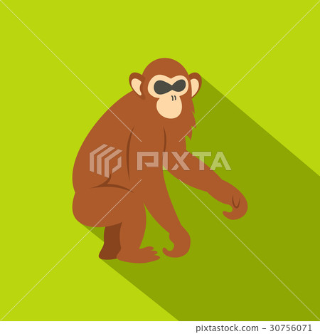 Dusky leaf monkey icon, flat style Dusky leaf monkey icon, flat style 30756071