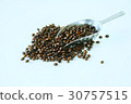 Coffee bean 30757515