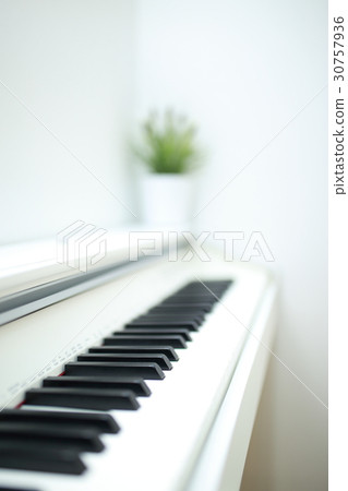 鋼琴樂器音樂(風琴豎琴大鍵琴MIDI合成器鍵盤廠) 鋼琴樂器音樂(風琴豎琴大鍵琴MIDI合成器鍵盤廠) 30757936