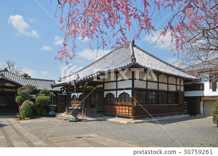 谷中步行:龍泉寺正殿 谷中步行:龍泉寺正殿 30759261