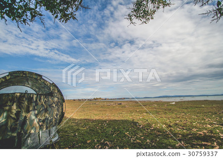 Camping and tent under the forest tree 30759337