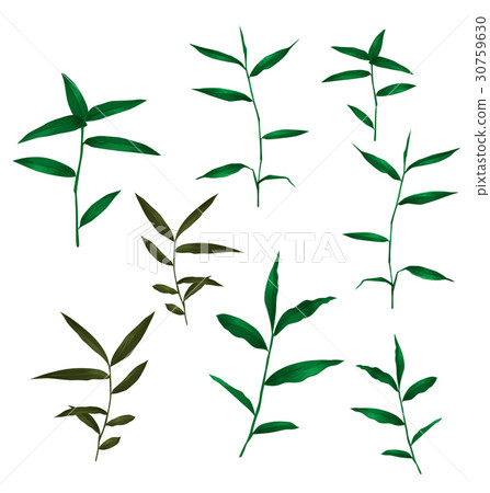green grass set 30759630