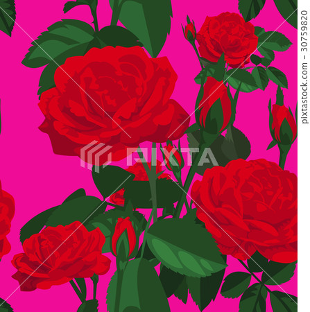 rose seamless pattern 30759820