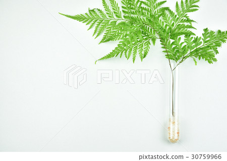 Natural background for beauty product 30759966