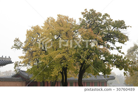 首爾鐘路區景福宮 30760489