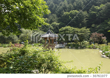 Morning Calm Arboretum, Gapyeong-gun, Gyeonggi-do Morning Calm Arboretum, Gapyeong-gun, Gyeonggi-do 30761077