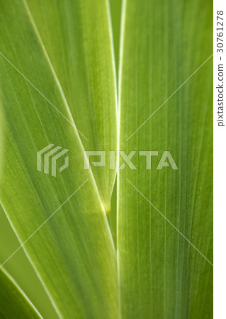 相互債務 30761278