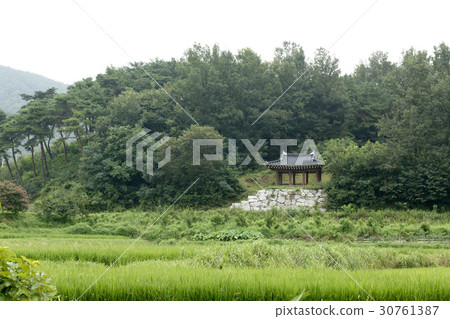 Damyang-gun, Jeonnam 30761387
