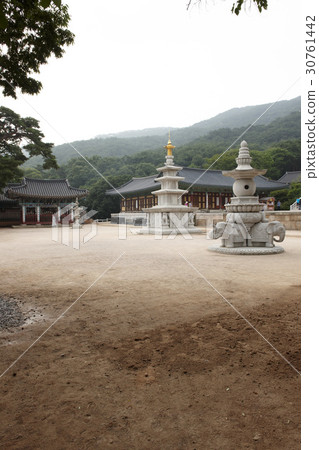 Suedeuk, Chungbuk, Chungnam Suedeuk, Chungbuk, Chungnam 30761442