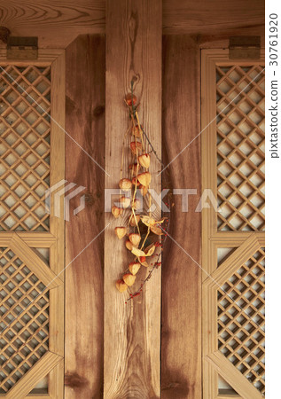 Chrysanthemum, marine nation Ok, Boeun-gun, Chungbuk 30761920