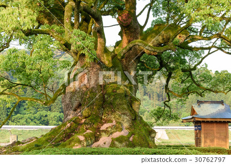 Kawako's Ogusu Saga Prefecture Kawako's Ogusu Saga Prefecture 30762797