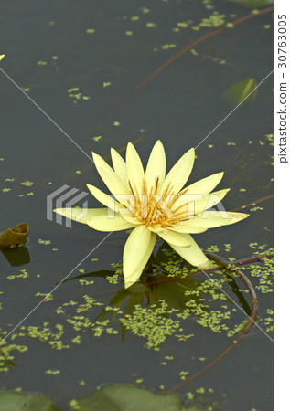 training training 30763005