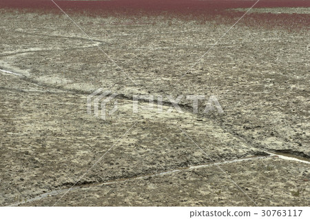 Sora Wetland Ecological Park, Namdong-gu, Incheon Sora Wetland Ecological Park, Namdong-gu, Incheon 30763117