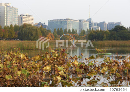 Lake Park, Ilsan, Goyang-si, Gyeonggi-do Lake Park, Ilsan, Goyang-si, Gyeonggi-do 30763664