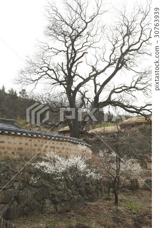 Yangdong Folk Village, Gyeongju City, Gyeongbuk Province 30763939