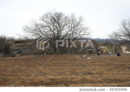 Yangdong Folk Village, Gyeongju City, Gyeongbuk Province Yangdong Folk Village, Gyeongju City, Gyeongbuk Province 30763949
