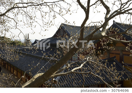 Dabotop (National Treasure No. 20), Bulguksa Temple (Historic Site No. 502), Gyeongju City, Gyeongbuk Province 30764696